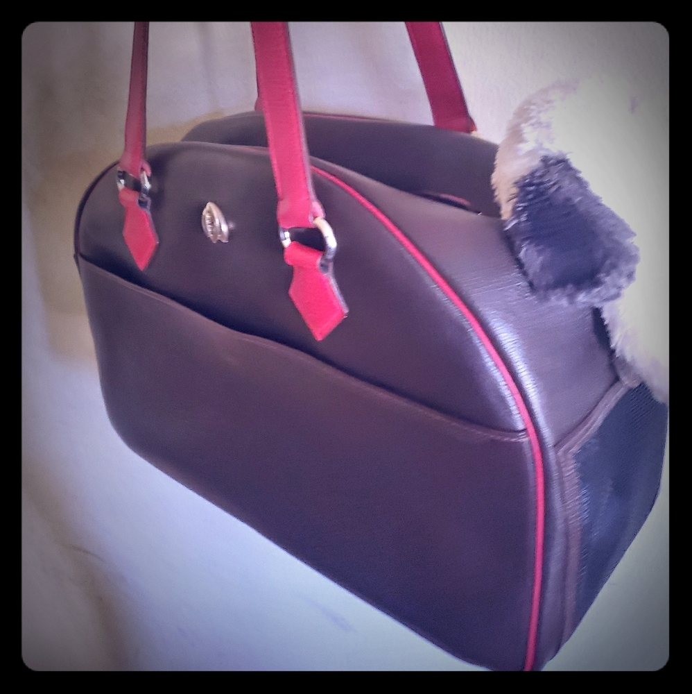 Dog purse